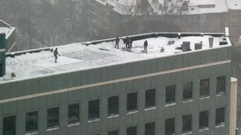 Zdjęcia Błękitnego 24