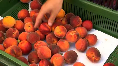 Sprzedawcy robią, co mogą, by zachować świeżość produktów 