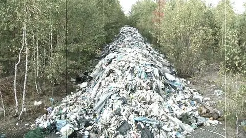 Ustawa śmieciowa nie rozwiązała problemów?