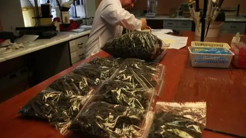 Z narkotykami w hotelu. Wyskoczyli z czwartego piętra