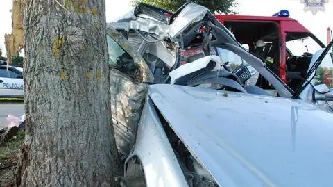Pijany kierowca rozbił się na drzewie. Zginął autostopowicz