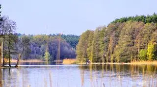 Do tragedii doszło nad jeziorem Żółwin