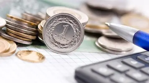 Pożyczka Gotówkowa i Baltic Money: zatrzymano prezesów i księgowego