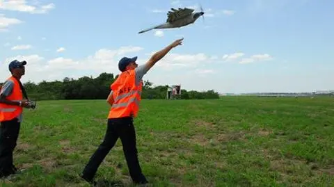 Mechaniczny sokół obroni samoloty?