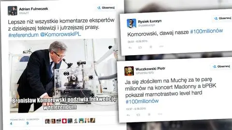 Internauci po referendum