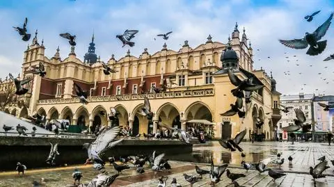 Turyści z Holandii wybierają Kraków