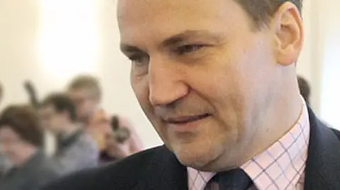 Sikorski i Bildt "padli ofiarą mitu" Rinata Achmetowa
