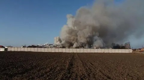 6 tysięcy kur spłonęło w pożarze kurnika