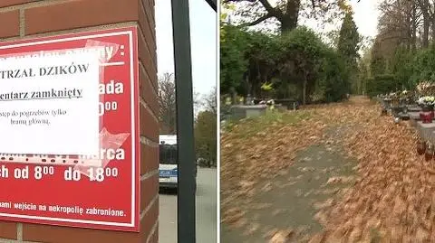 Poszukiwania dzików zakończone.
Cmentarz otwarty