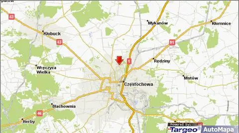 „Czaszka i kości w ubraniu”. Znaleźli szczątki podczas wycinki drzew