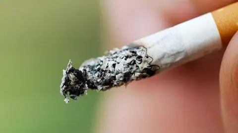 Strażnicy już mogą karać za dymek