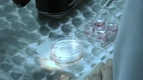 Chcesz in vitro? Sprawdź wyznanie