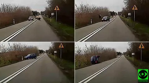 Łódzkie. Samochód dachował po zderzeniu z jeleniem w Rakowie