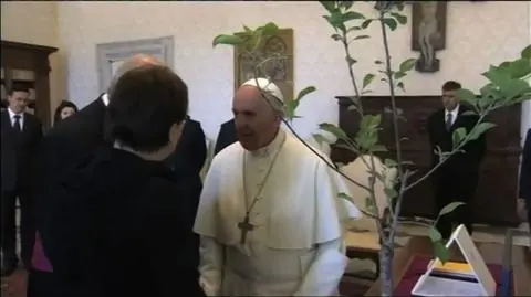 Premier Ewa Kopacz z wizytą u Papieża