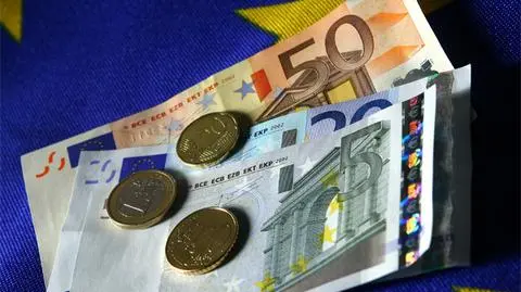 Premier: Wejście do strefy euro to "lata, a nie miesiące"