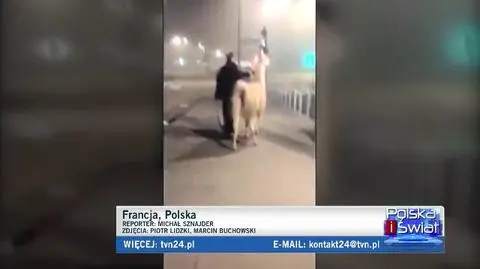 Gdzie leżą granice dobrej zabawy? 