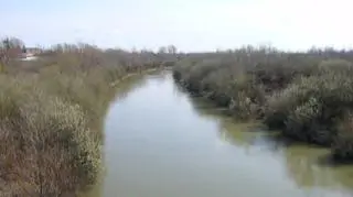 Brzeg Wisłoki osuwa się do wody