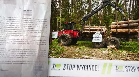 Ekolog ma zapłacić 9 tys. zł kary za blokowanie wycinki puszczy
