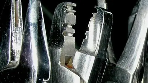 Brytyjczycy sami wyrywają sobie zęby