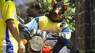 Ulicami filipińskiego Patangas przemaszerowała kolorowa parada. Przy akompaniamencie bębnów i radosnych krzyków, w strumieniach wody z pistoletów wodnych paradowały... Pieczone świnie. Parada świń z rożna, to filipińska tradycja związana z obchodami dnia św. Jana Chrzciciela. Na tegoroczny pochód upieczono na złotobroząwo (bo tak nakazuje tradycja) kilkaset świń. (Reuters)