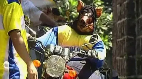 Świnie z rożna ruszyły na ulice