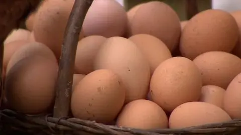 Jajka mają o wiele więcej fosfolipidów 