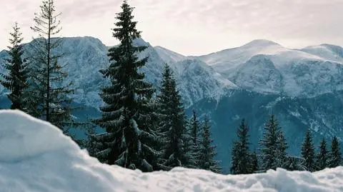 PKG chce budować wyciąg orczykowy na Gubałówce