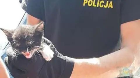 Policjant pomógł maleńkiemu kotkowi
