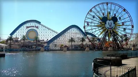 Mężczyzna z bronią zatrzymany w Disneylandzie