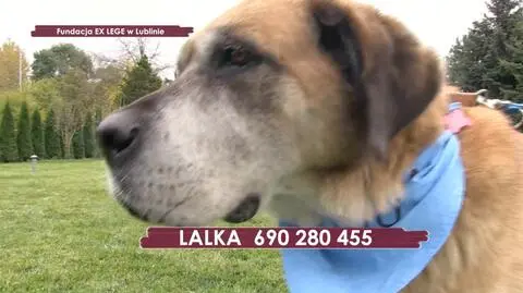 Lalka