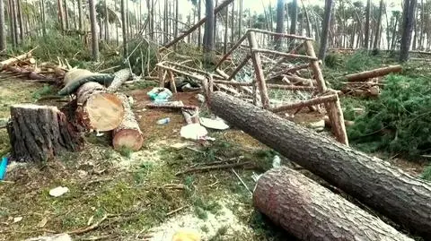 "Pierwsze ustalenia już poczyniliśmy"