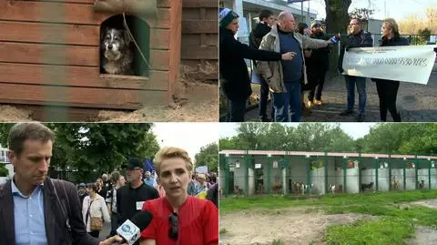 Scheuring-Wielgus oddała psy do schroniska. Fundacje zarzucają jej obłudę (materiał magazynu "Polska i Świat" z 23.05.2019)