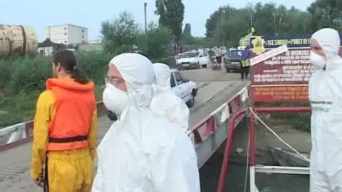 Greenpeace nałożył kwarantannę na wyspę