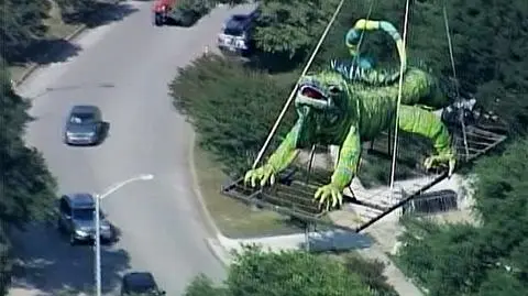 Latający jaszczur wabi do ZOO