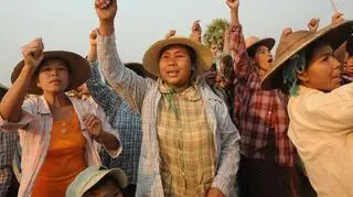 Ziemie często są zawłaszczane przez przedsiębiorstwa. Na nagraniu wycinka lasów w Senegalu