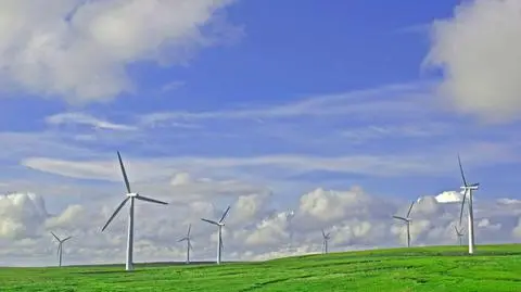 Mafia pierze pieniądze w energii odnawialnej