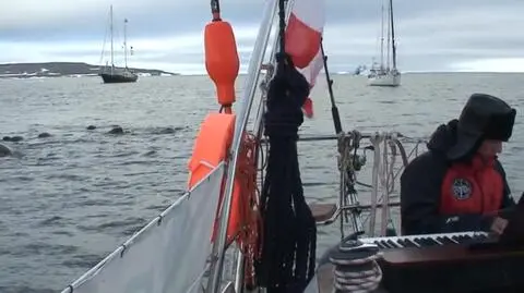 Koncert w drodze na biegun. Morsy "słuchały" Chopina