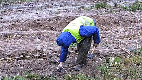 Archeolodzy w Smoleńsku