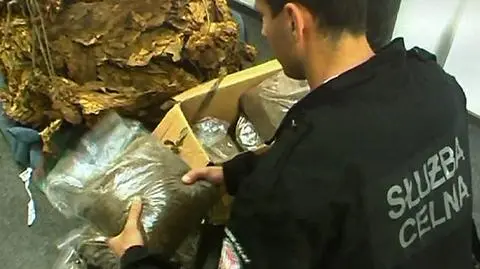 Wpadła wytwórnia papierosów. Celnicy przejęli 100 kg tytoniu