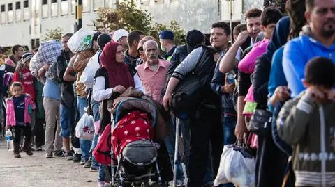 W Polsce spadła liczba wniosków o azyl