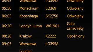 Przez mgłę odwołano część lotów