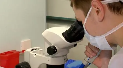 Walka o przywrócenie wojewódzkiego programu finansowania in vitro