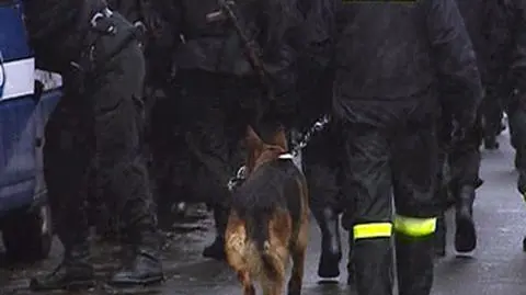 W poszukiwaniach brało udział ponad 60 policjantów