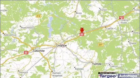 Wjechał ciężarówką w drzewo
