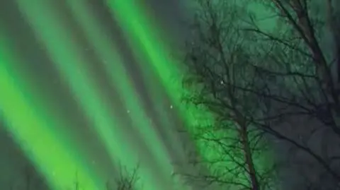 Naukowcy będą prognozować występowanie zórz polarnych