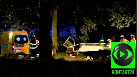 Bus uderzył w drzewo. 8 Polaków rannych