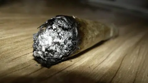 W Meksyku posiadanie narkotyków legalnie