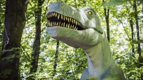Dinozaury ryczały za głośno. Park rozrywki ukarany