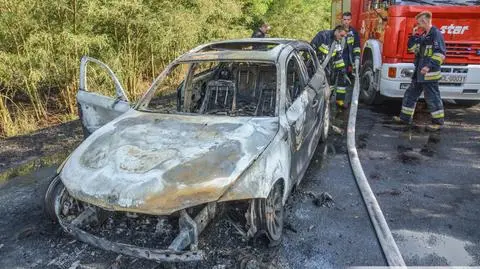 Od płonącego samochodu zajął się młodnik