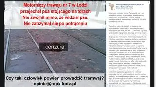 Viva! szuka świadków zdarzenia 